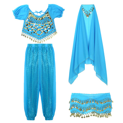 Belly Dance Costume Set – Coin Tassel Top, Harem Pants & Accessories