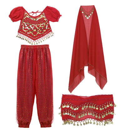 Belly Dance Costume Set – Coin Tassel Top, Harem Pants & Accessories