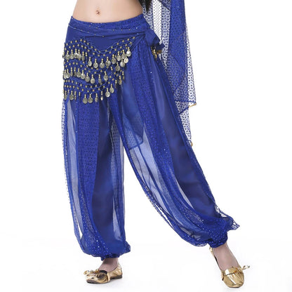 Sparkly Chiffon Harem Pants – Belly Dance Performance Wear