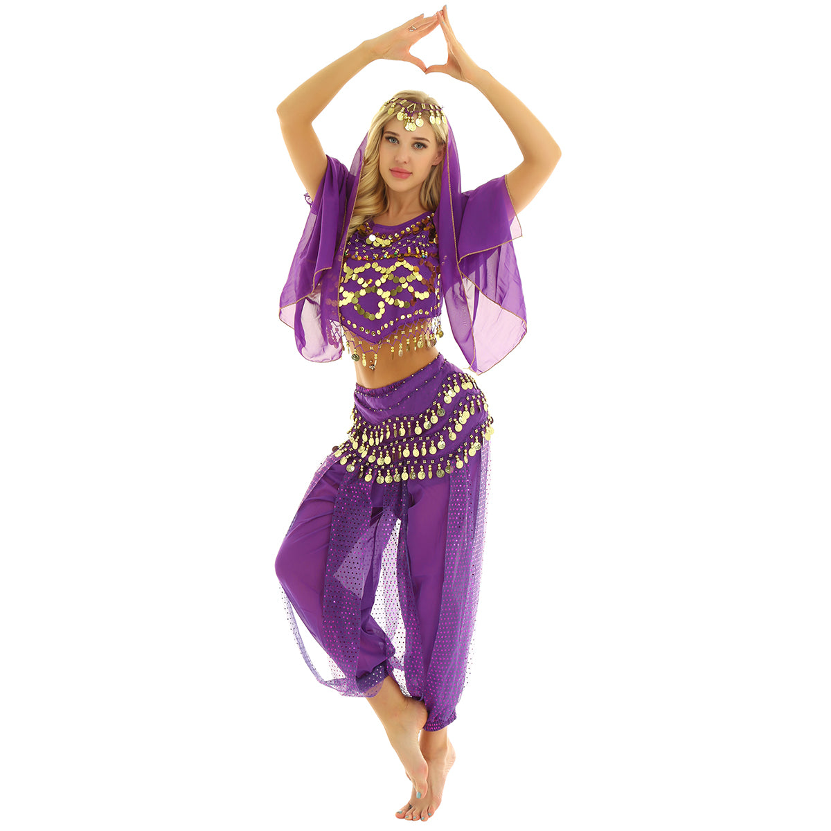 Belly Dance Costume Set – Coin Tassel Top, Harem Pants & Accessories