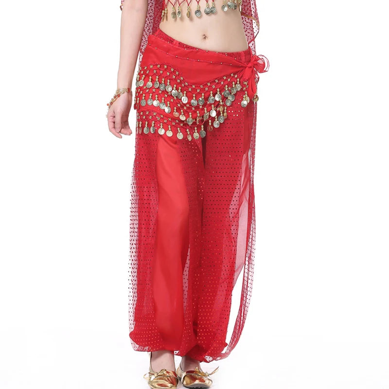 Sparkly Chiffon Harem Pants – Belly Dance Performance Wear