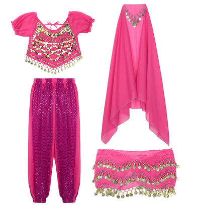 Belly Dance Costume Set – Coin Tassel Top, Harem Pants & Accessories