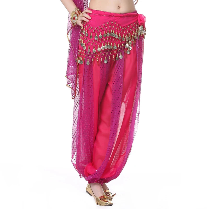 Sparkly Chiffon Harem Pants – Belly Dance Performance Wear