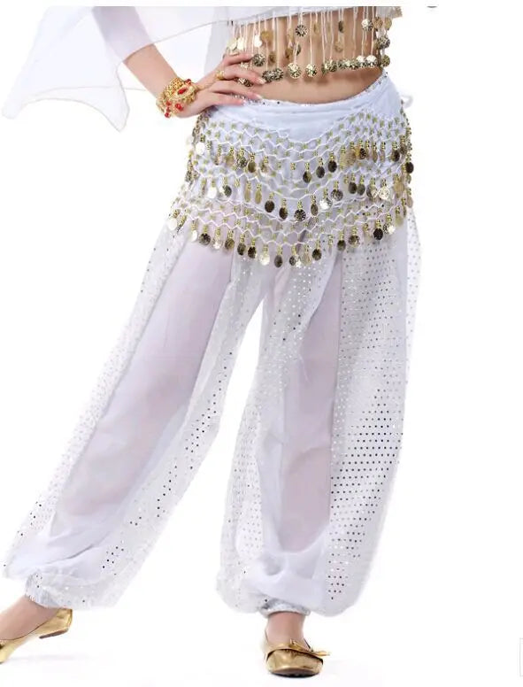 Sparkly Chiffon Harem Pants – Belly Dance Performance Wear