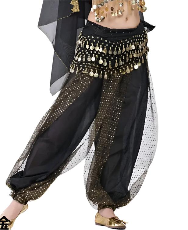 Sparkly Chiffon Harem Pants – Belly Dance Performance Wear