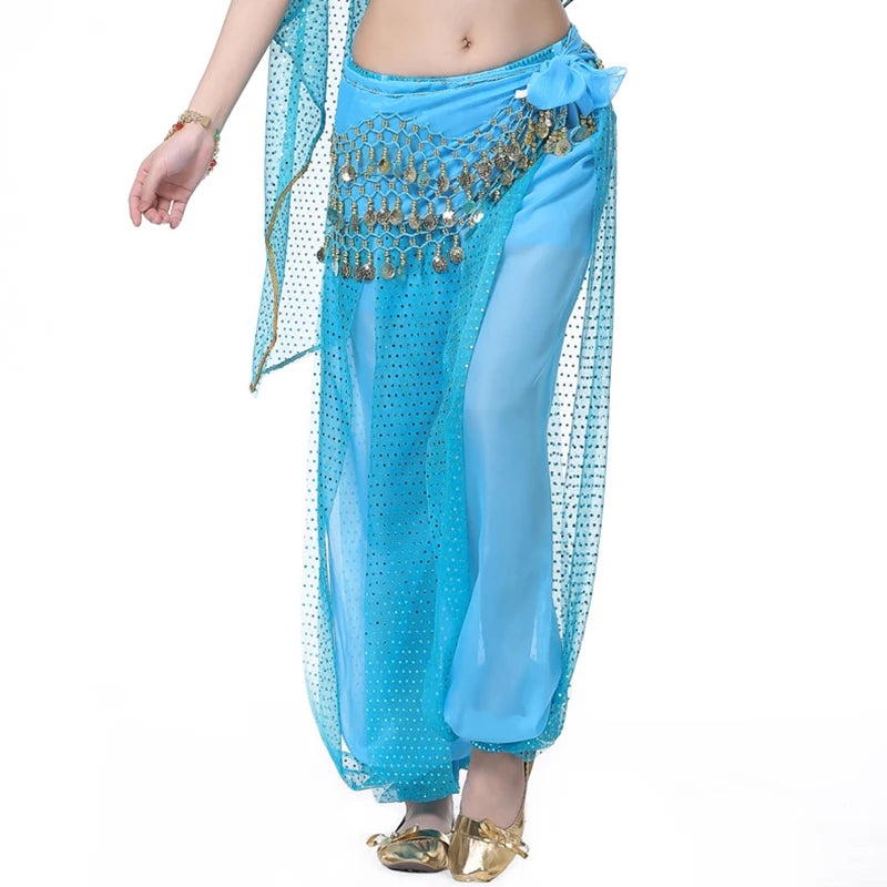 Sparkly Chiffon Harem Pants – Belly Dance Performance Wear