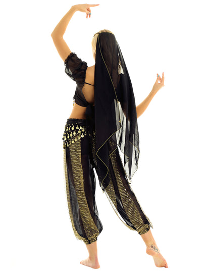 Belly Dance Costume Set – Coin Tassel Top, Harem Pants & Accessories