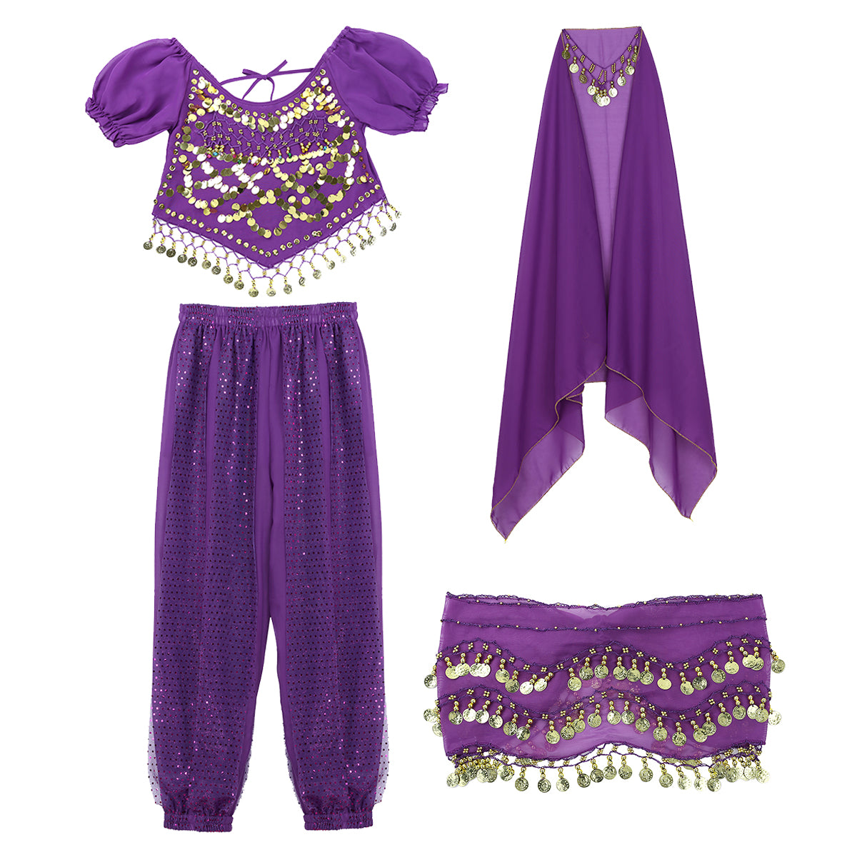 Belly Dance Costume Set – Coin Tassel Top, Harem Pants & Accessories