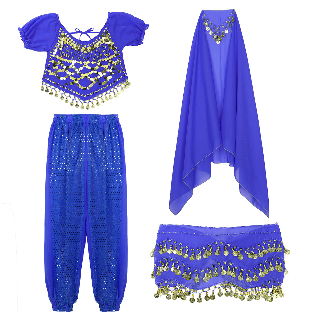 Belly Dance Costume Set – Coin Tassel Top, Harem Pants & Accessories