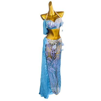 Luxury Rhinestone Satin Bellydance Costume – 2-Piece Set