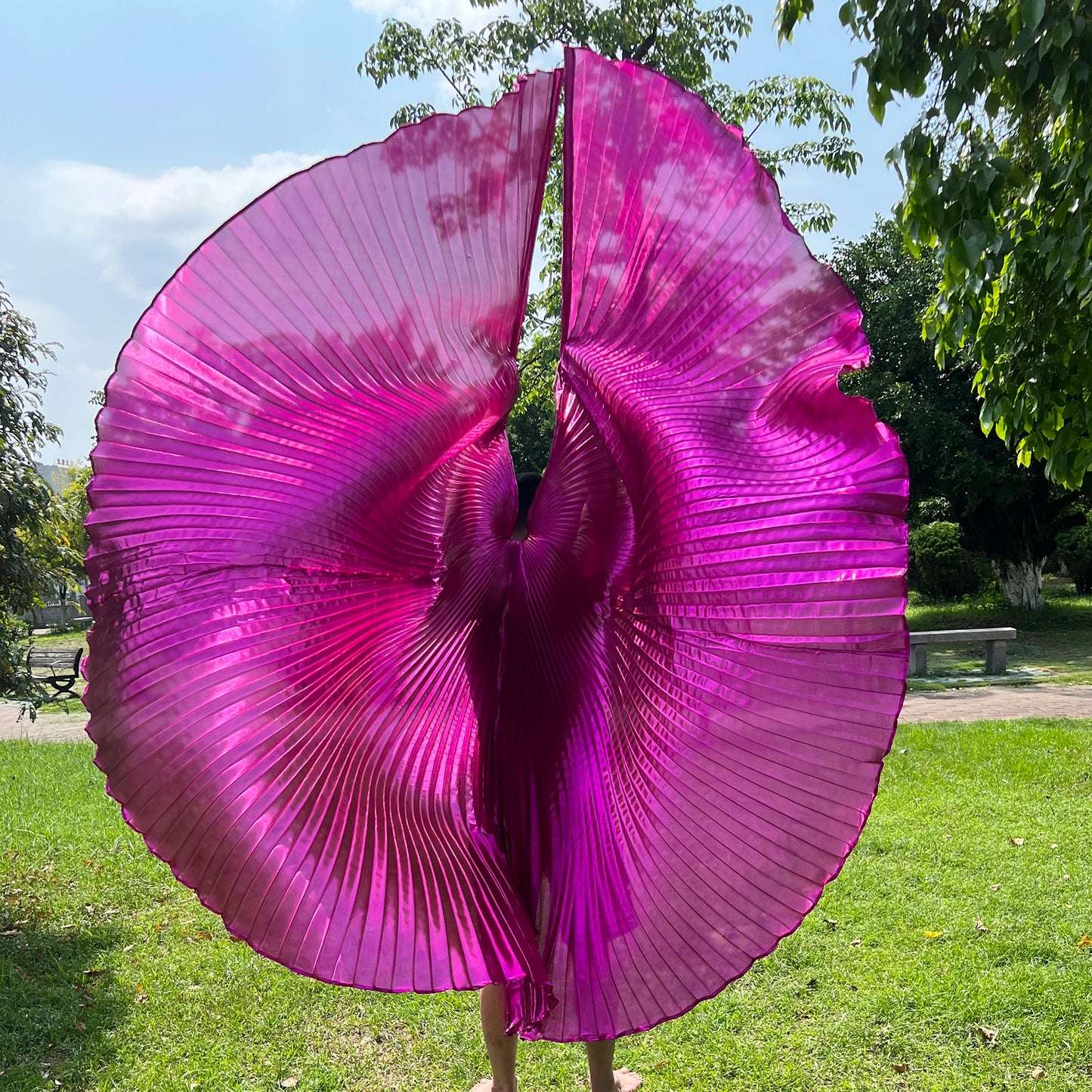 Transparent Iridescent Belly Dance Isis Wings - 300 Degrees