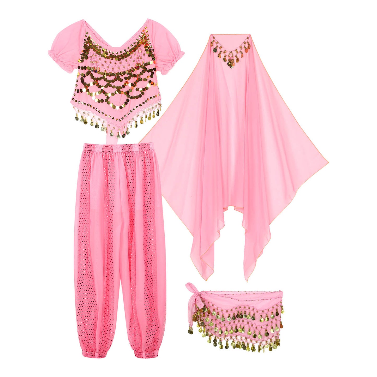 Belly Dance Costume Set – Coin Tassel Top, Harem Pants & Accessories