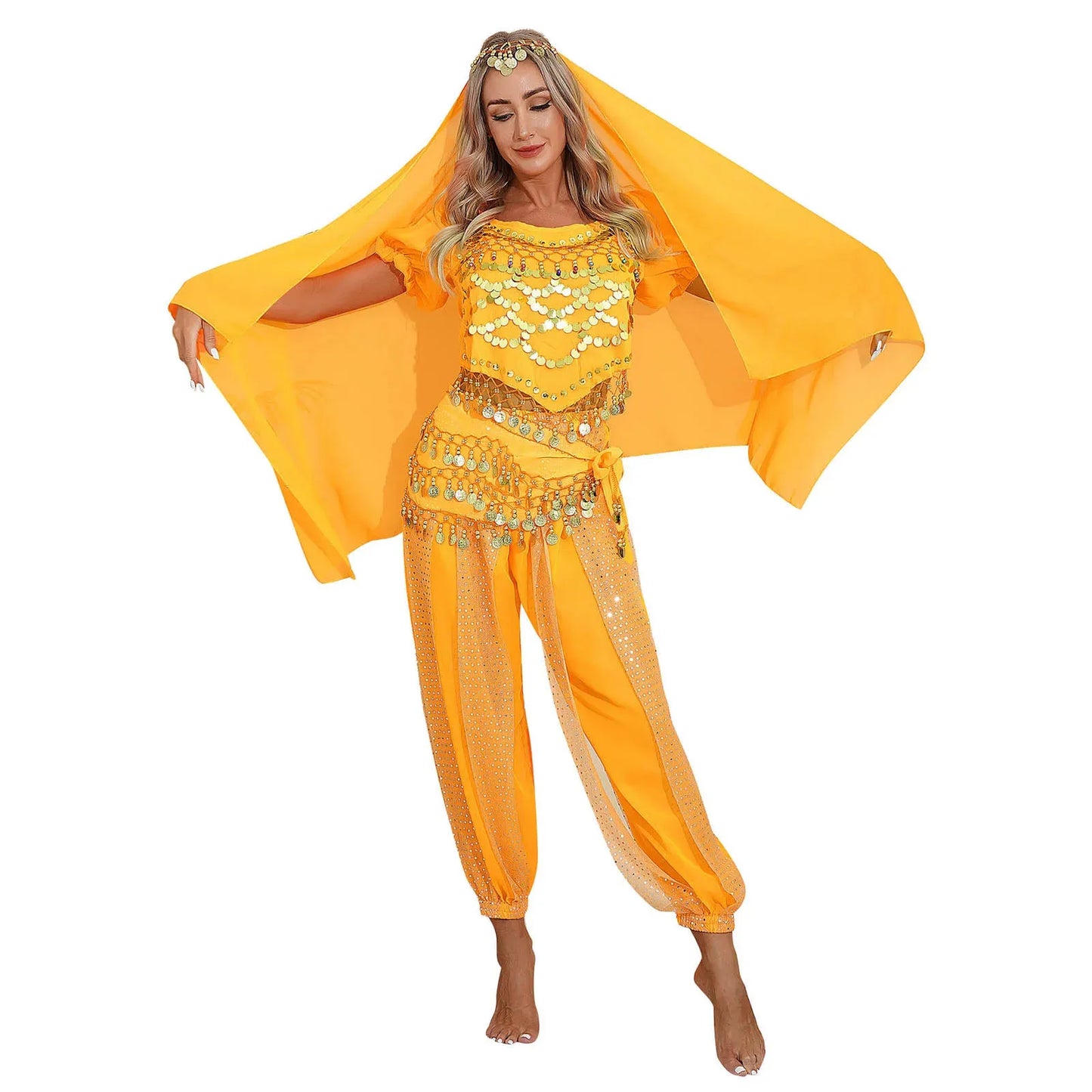 Belly Dance Costume Set – Coin Tassel Top, Harem Pants & Accessories