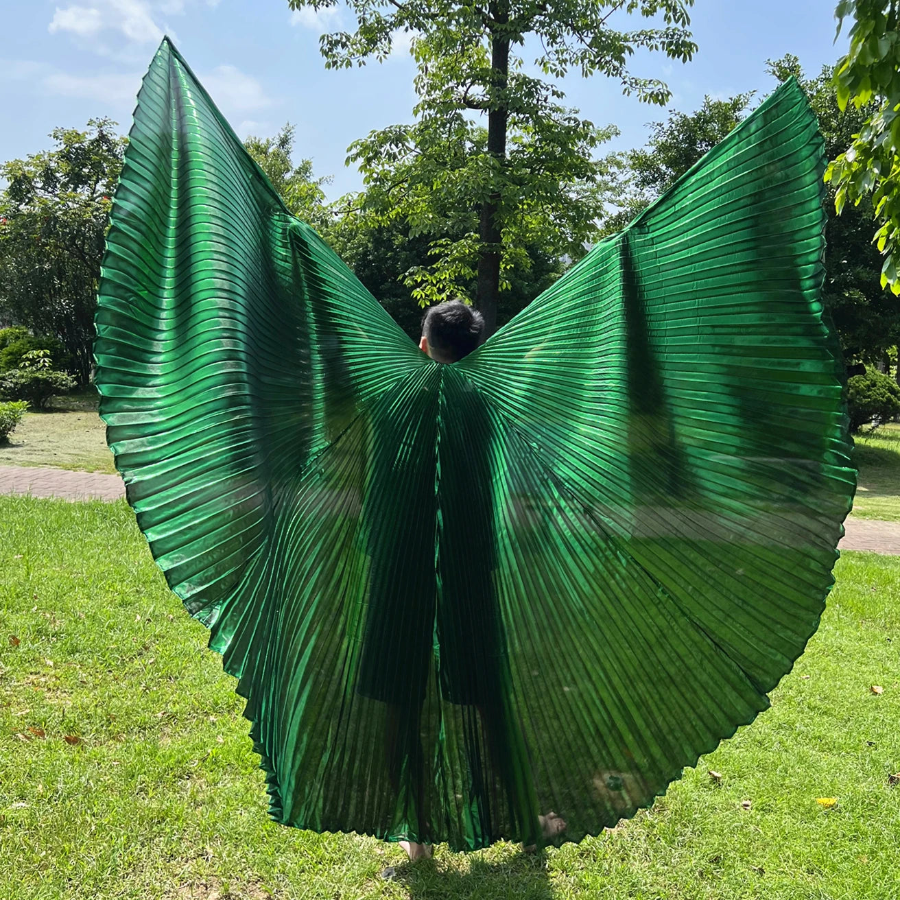 Transparent Iridescent Belly Dance Isis Wings - 300 Degrees