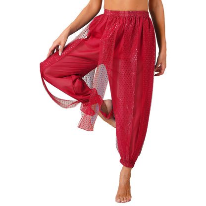 Sequin Split-Side Belly Dance Harem Pants – Built-in Shorts