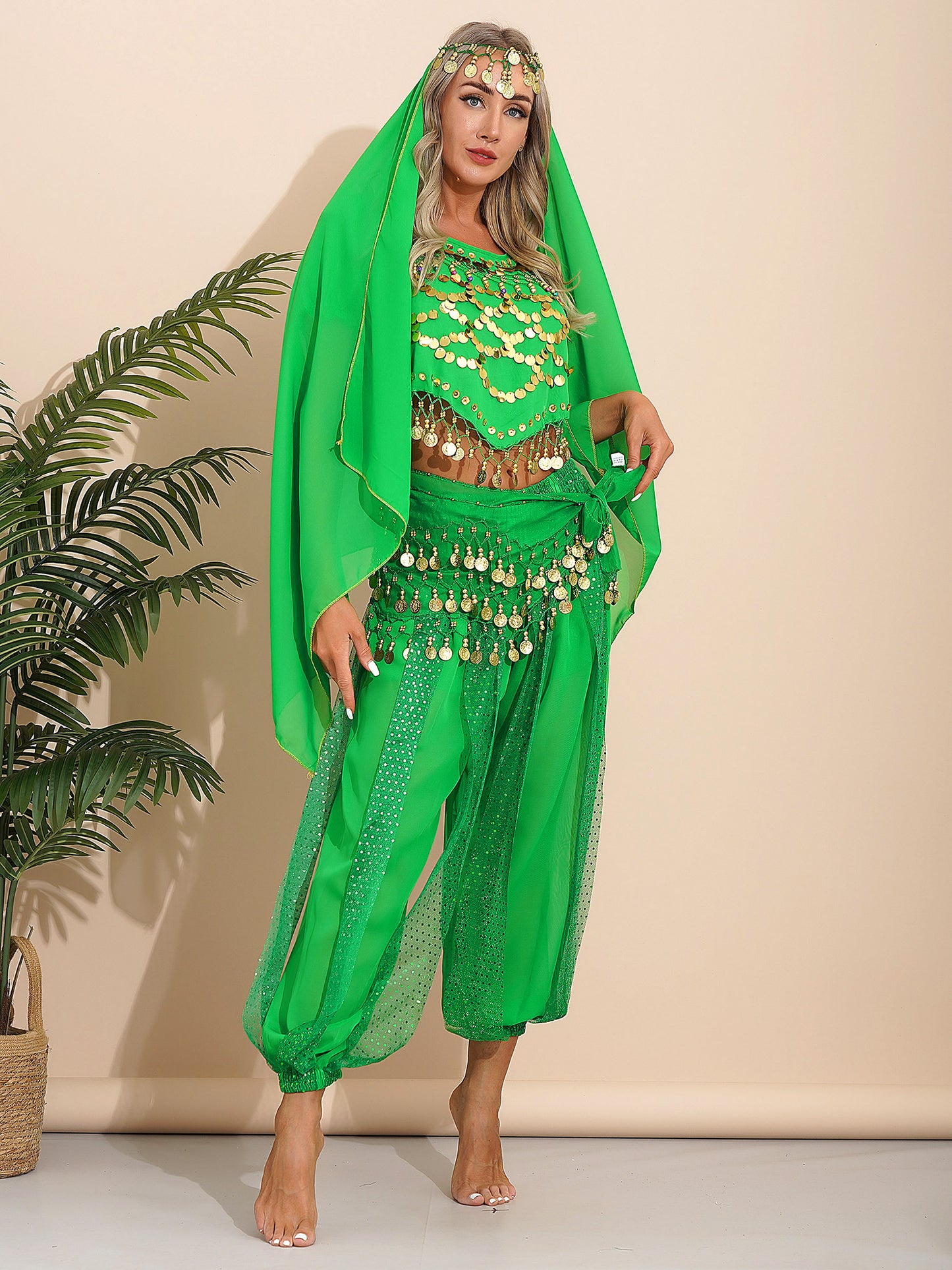 Belly Dance Costume Set – Coin Tassel Top, Harem Pants & Accessories