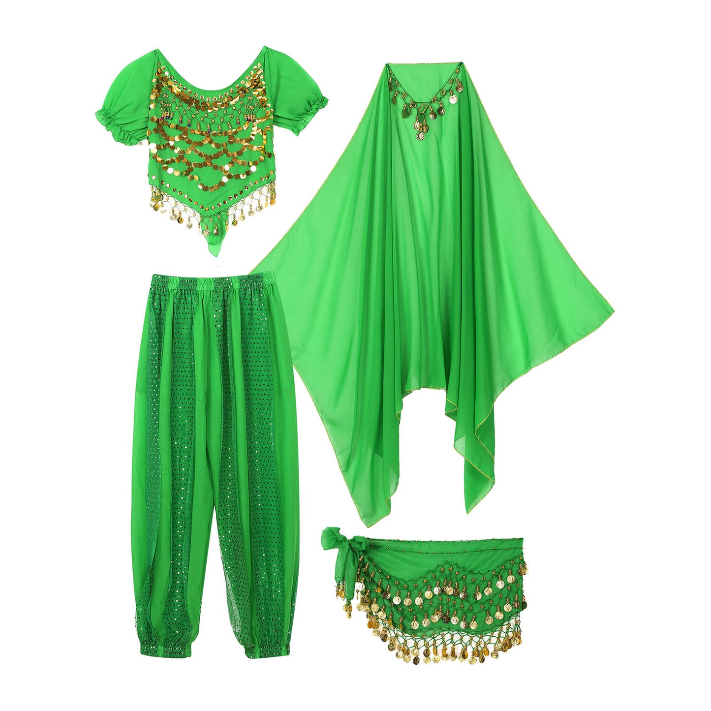 Belly Dance Costume Set – Coin Tassel Top, Harem Pants & Accessories