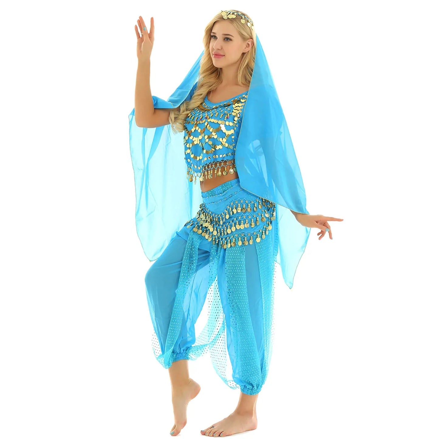 Belly Dance Costume Set – Coin Tassel Top, Harem Pants & Accessories