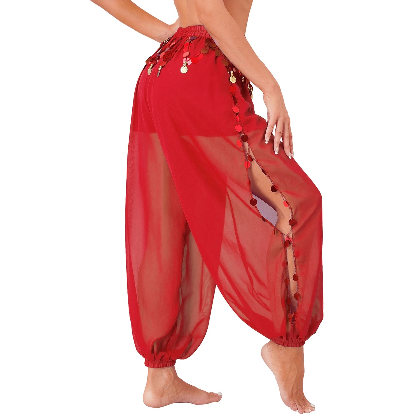 Sequin Split-Side Belly Dance Harem Pants – Built-in Shorts