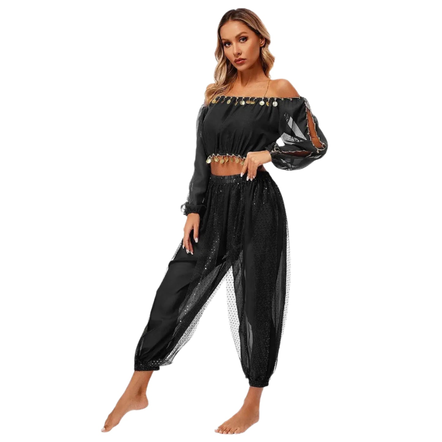 Belly Dance 2-Piece Set (Off-Shoulder Crop Top & Pants)