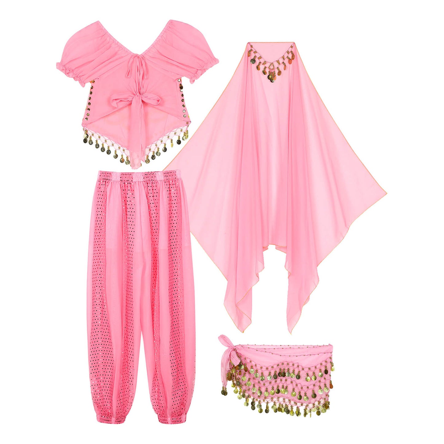 Belly Dance Costume Set – Coin Tassel Top, Harem Pants & Accessories