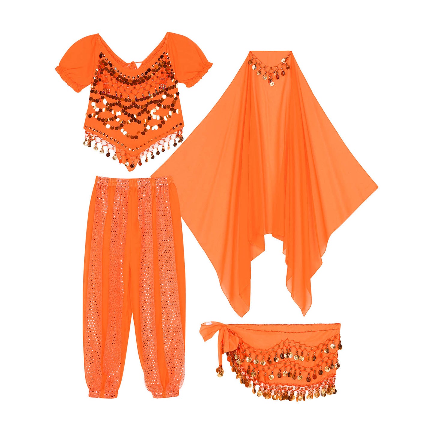 Belly Dance Costume Set – Coin Tassel Top, Harem Pants & Accessories