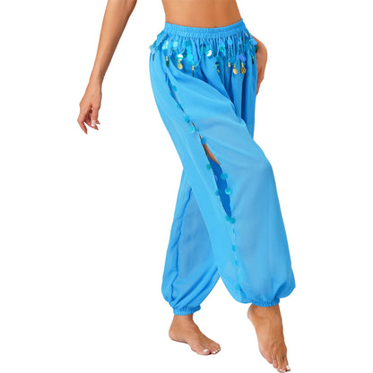 Sequin Split-Side Belly Dance Harem Pants – Built-in Shorts