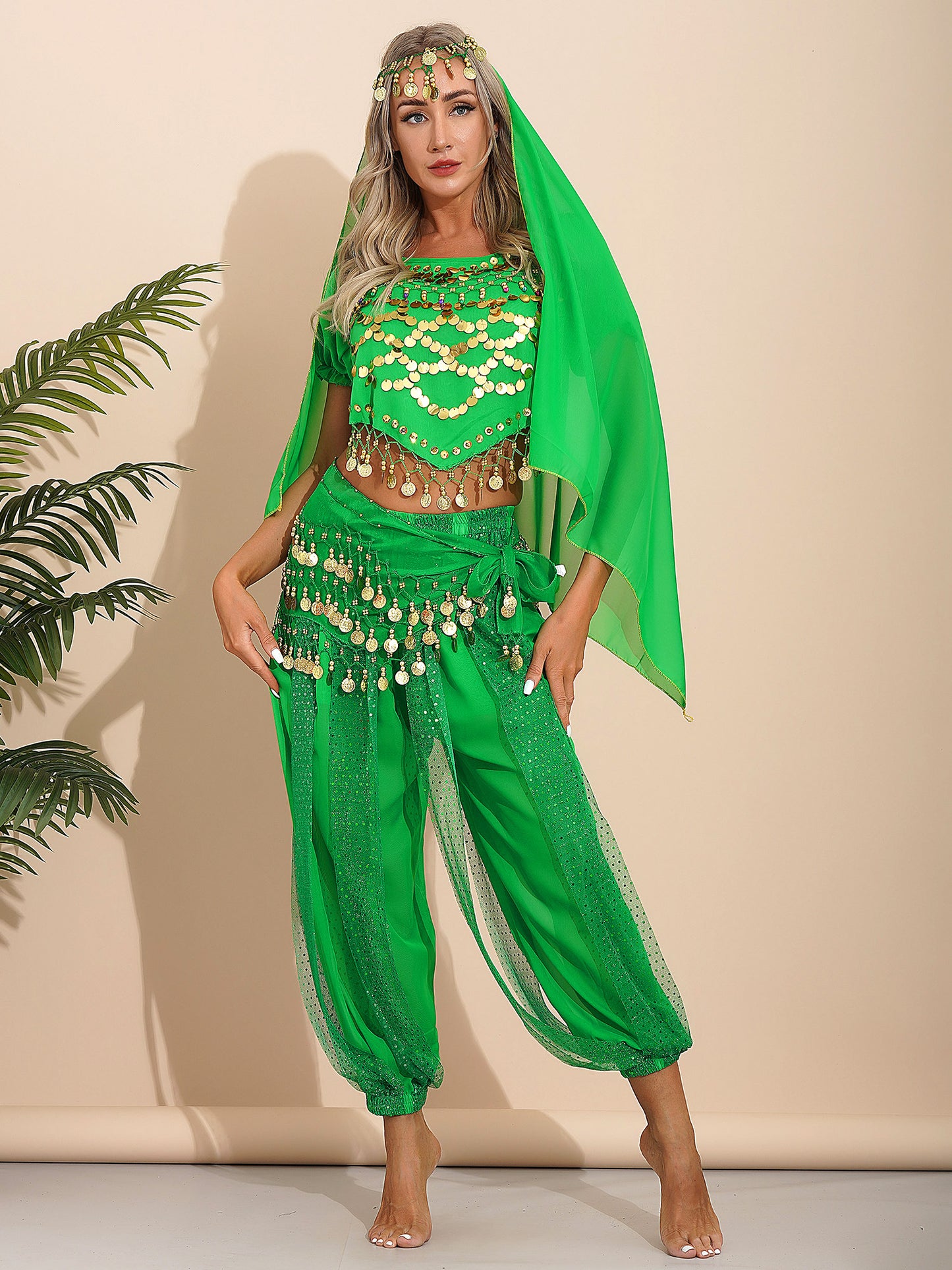 Belly Dance Costume Set – Coin Tassel Top, Harem Pants & Accessories