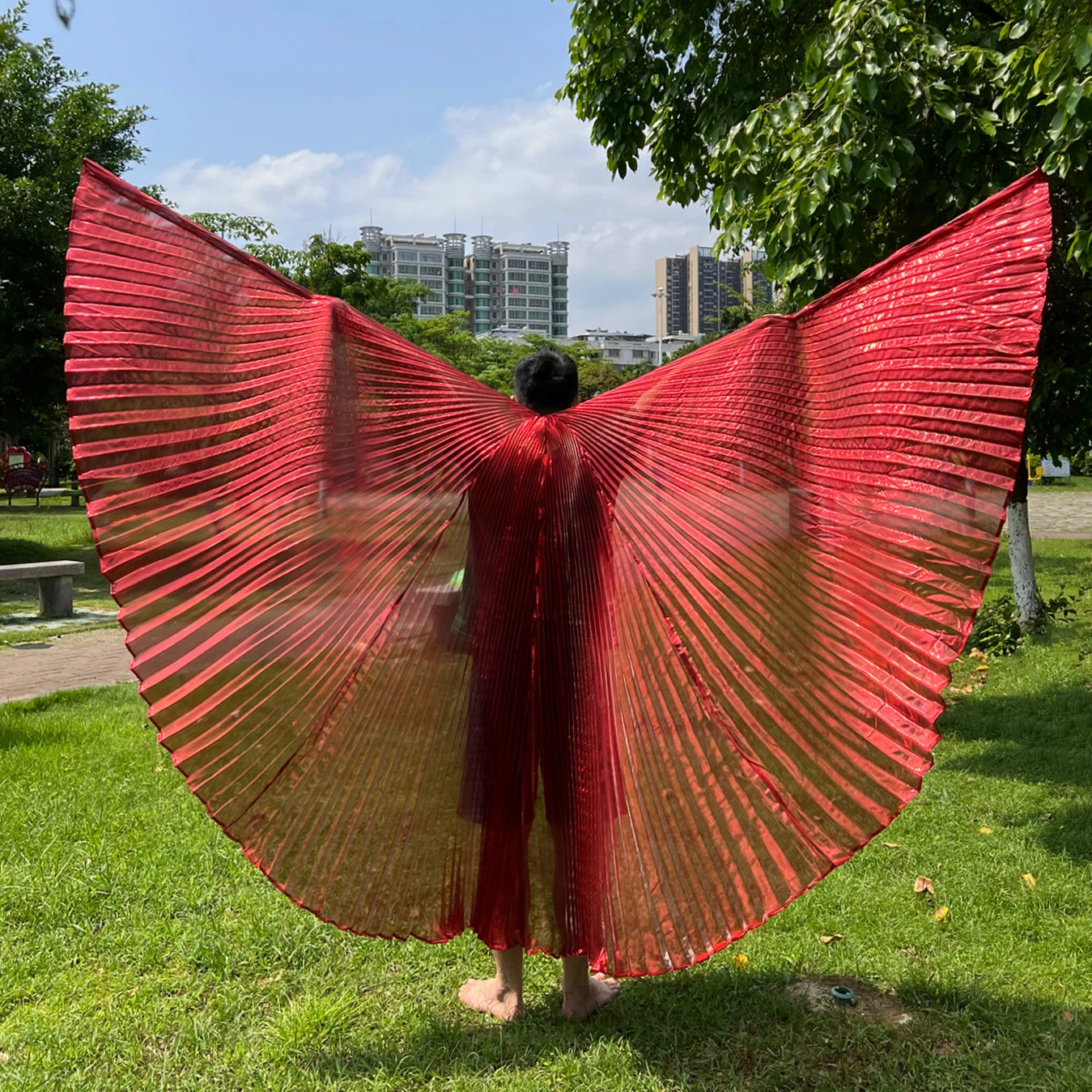 Transparent Iridescent Belly Dance Isis Wings - 300 Degrees