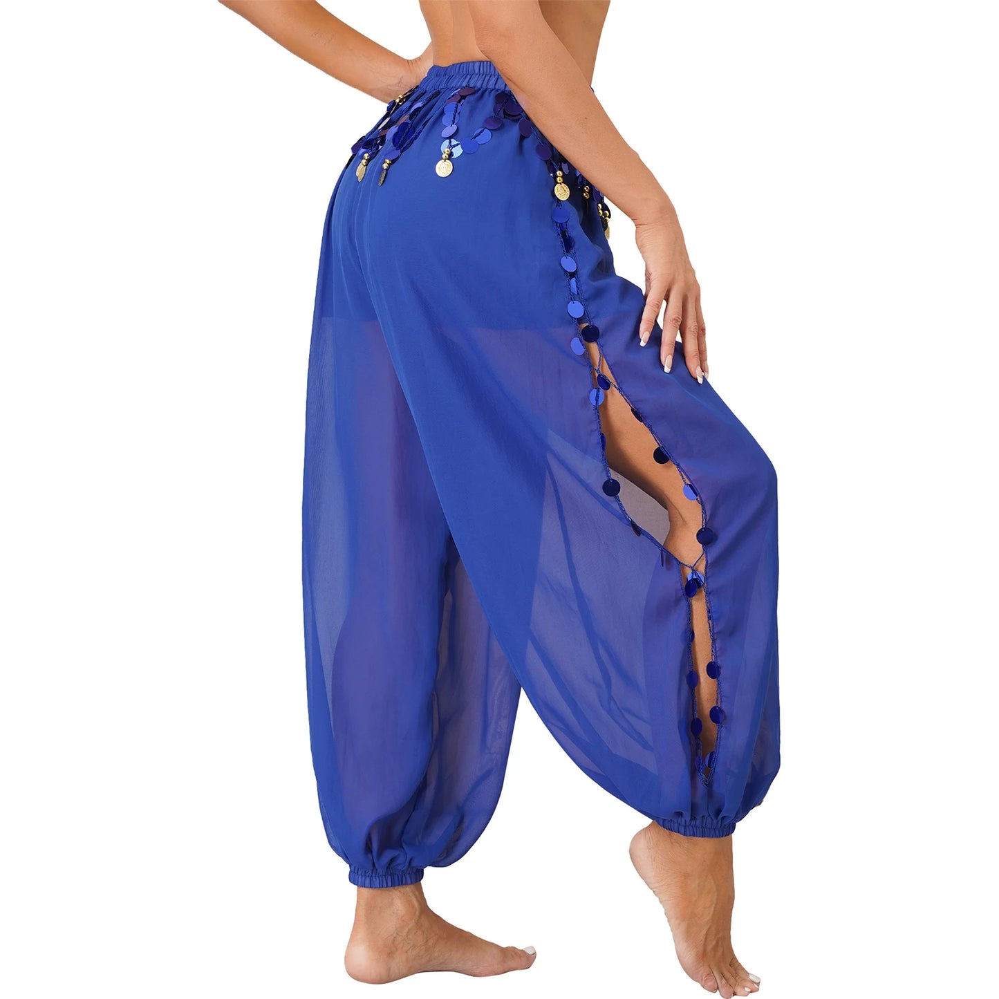 Sequin Split-Side Belly Dance Harem Pants – Built-in Shorts