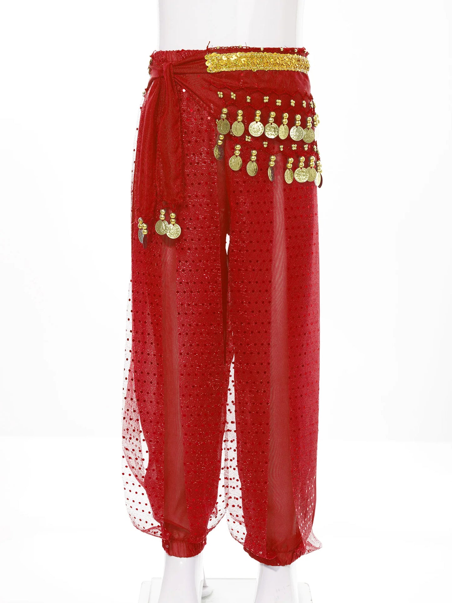 Kids' Belly Dance Costume Set - Sequined Pants & Beaded Hip Scarf